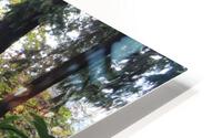 IMG 2880 HD Metal print