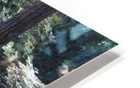 IMG 2881 HD Metal print