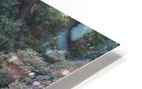 IMG 2889 HD Metal print