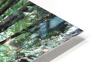IMG 2895 HD Metal print