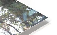 IMG 2890 HD Metal print
