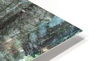 IMG 2821 HD Metal print