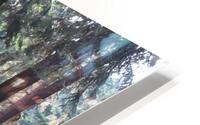 IMG 2877 HD Metal print