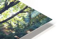 IMG 2882 HD Metal print