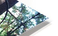 IMG 2857 HD Metal print