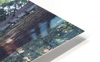 IMG 2861 HD Metal print