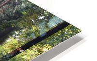 IMG 2876 HD Metal print