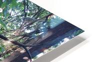 IMG 2858 HD Metal print