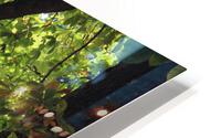 IMG 2887 HD Metal print