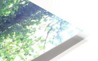 IMG 2839 HD Metal print