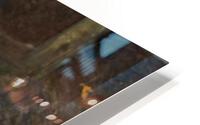 IMG 2935 HD Metal print