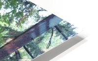 IMG 2920 HD Metal print