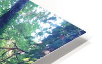 IMG 2925 HD Metal print