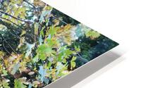 IMG 2927 HD Metal print