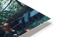 IMG 2924 HD Metal print