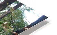 IMG 2919 HD Metal print