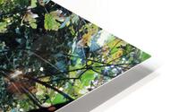 IMG 2928 HD Metal print