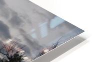 IMG 2950 HD Metal print