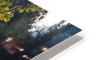 IMG 2986 HD Metal print