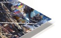 IMG 3000 HD Metal print