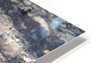IMG 3027 HD Metal print