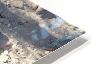 IMG 3044 HD Metal print