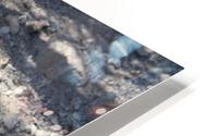 IMG 3029 HD Metal print
