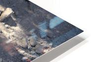 IMG 3051 HD Metal print