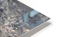 IMG 3071 HD Metal print