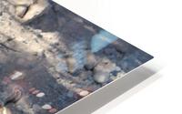 IMG 3055 HD Metal print