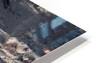 IMG 3060 HD Metal print