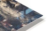 IMG 3056 HD Metal print