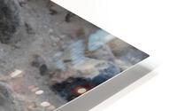 IMG 3070 HD Metal print