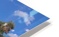 IMG 3098 HD Metal print