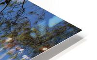 IMG 3124 HD Metal print