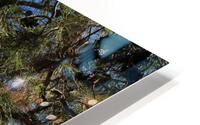 IMG 3132 HD Metal print