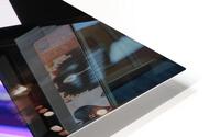 IMG 3146 HD Metal print