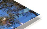 IMG 3125 HD Metal print