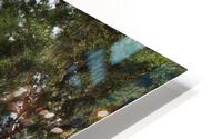 IMG 3121 HD Metal print