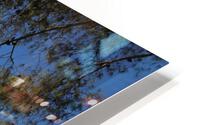 IMG 3126 HD Metal print