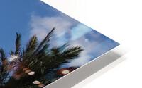 IMG 3198 HD Metal print