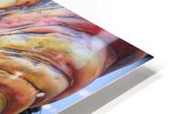 IMG 3206 HD Metal print