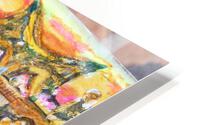 IMG 3247 HD Metal print