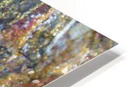 IMG 3250 HD Metal print
