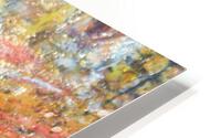 IMG 3249 HD Metal print