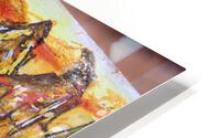 IMG 3245 HD Metal print