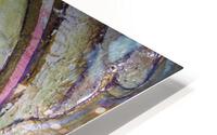 IMG 3299 HD Metal print