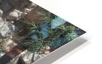 IMG 3322 HD Metal print