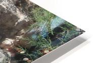 IMG 3323 HD Metal print