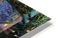 IMG 3342 HD Metal print